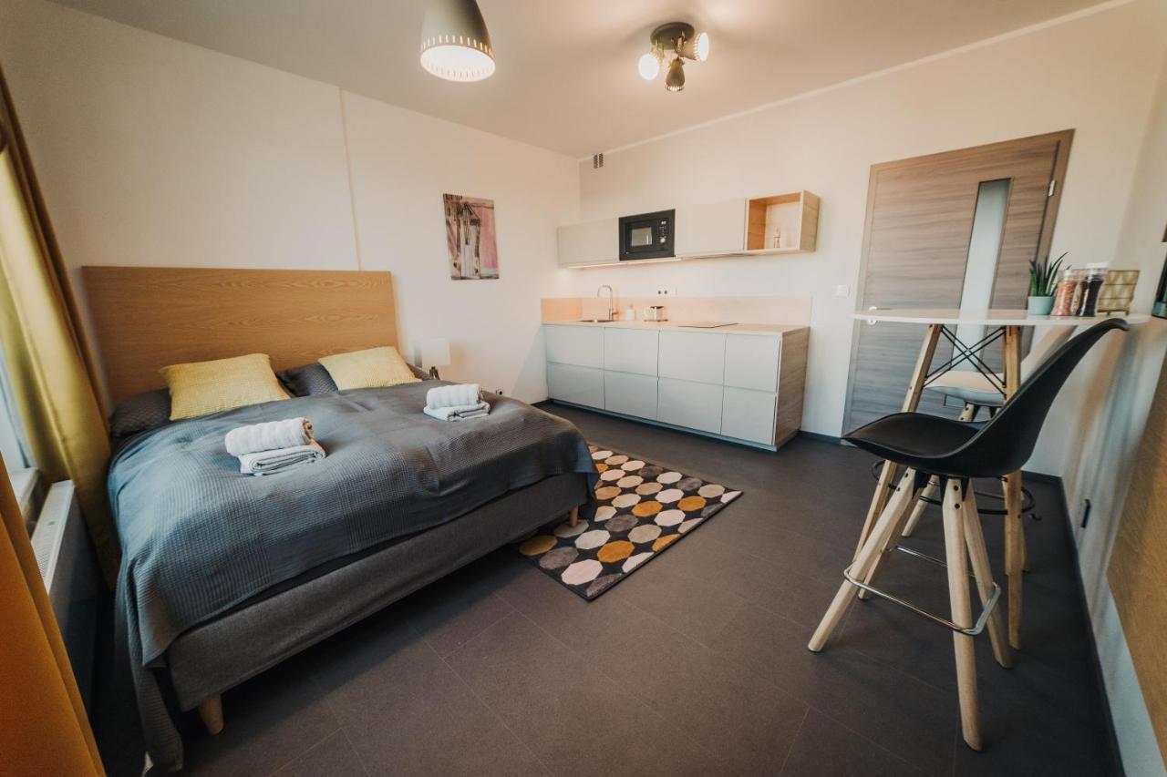 Beautiful New Studio, 400M From The Square Apartment Plzen Luaran gambar
